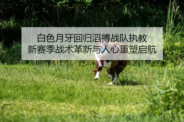 白色月牙回归滔搏战队执教 新赛季战术革新与人心重塑启航