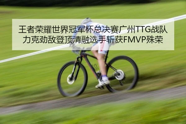 王者荣耀世界冠军杯总决赛广州TTG战队力克劲敌登顶清融选手斩获FMVP殊荣